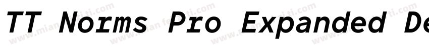 TT Norms Pro Expanded DemiBold Ital字体转换